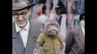 Hamburg in den 50er
