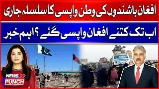 Afghan Repatriation Continues | How Many Have Returned So Far?