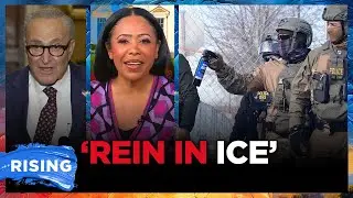 Dems LIST DEMANDS To Approve DHS Funding: COMMON SENSE! Lindsey Granger | RISING