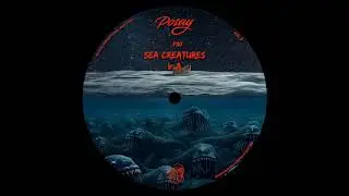 Nacho Duran - Desert (Original Mix) [POSAY MUSIC]