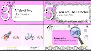 Estrogen Metabolism: From Menstrual Cycle to Cancer Risk