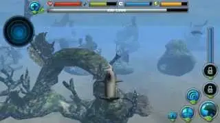 Short Play #492 Dolphin Simulator Android Gameplay