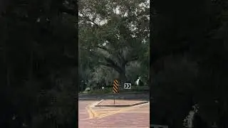 Sunday Drive/ College Park Florida