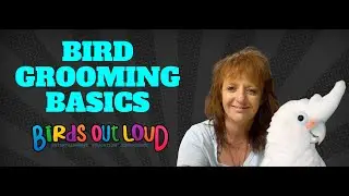 Bird Grooming Basics