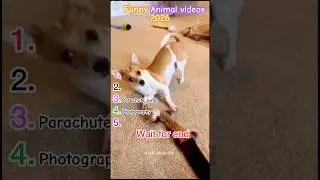 The Funniest ANIMALS of 2026&hellip;So Far 😂 SUPER Funny Animal Videos #shorts #funnyanimalvideos