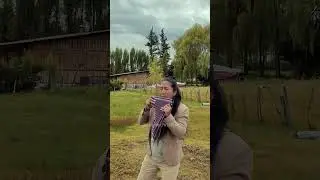 Виктор Цой - Группа Крови (Andean Versi&oacute;n)