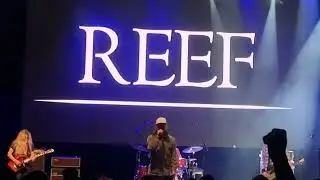 Reef 'Shoot Me Your Ace'