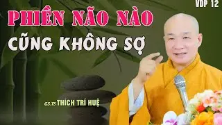 Tiêu Diệt Phiền Não Vô Minh Nhờ Kỹ Năng Thiền Định - Cực đỉnh. Thầy Thích Trí Huệ VDP 12