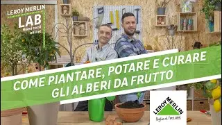 Leroy Merlin Lab: come piantare, potare e curare gli alberi da frutto | Leroy Merlin
