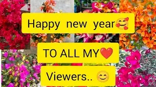 പുതിയ  തുടക്കം  .... 