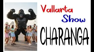 Charanga -  Banda Vallarta Show - Tiktok