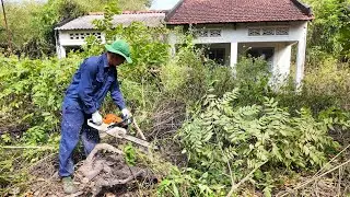 WHAT CAUSED This House to Be ABANDONED for So Many Years — A SATISFYING REVIVAL