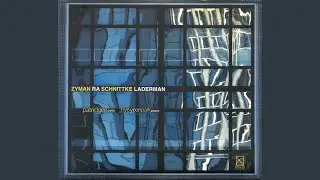 Cello Sonata No. 1: I. Largo