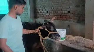 My Evening DAIRY Routine 