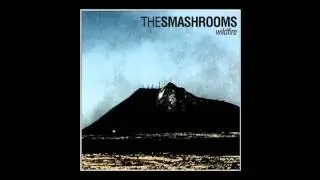 The Smashrooms - Destroy/Rebuild