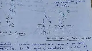 Patterns of behaviour (Taxes & Kinases) their types with examples#zoologynotes @alkaranigupta8791