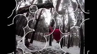 Aerial Hoop 2020. Воздушное кольцо . Aerial ring , Aerial Lira. Aerialist 2020