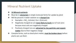 Plant Nutrients & Soil Fertility