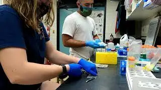 A Day in the Life: Marine Biology Masters Student