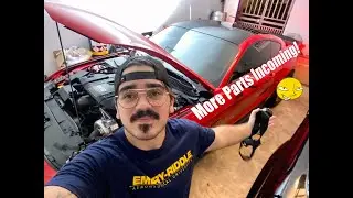 2019 Ford Mustang GT Procharger UPDATE | DW400 Pump | Exterior Mods