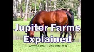 Exploring Florida:  Jupiter Farms Explained