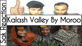 Sak Reaction | Sorry Swaleh | Kalash Valley