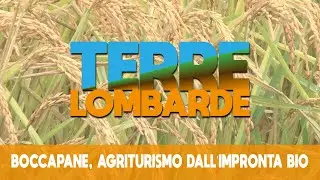 Terre Lombarde - Boccapane, agriturismo dall'impronta bio