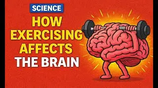 How exercise rewires your brain (Science explained)