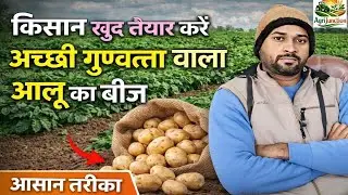 किसान खुद तैयार करें अच्छी गुणवत्ता वाला आलू का बीज High-Quality Potato Seed Preparation by Farmers 