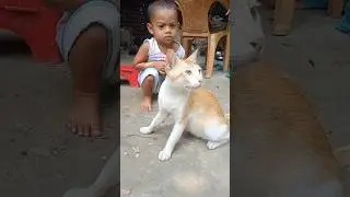 🐱 Bhilai 😺 Bhilai video #shorts #ytshorts