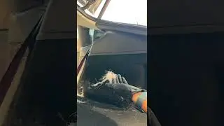 Tesla Model Y &bull; Pet Hair Removal & Deep Interior Cleaning | Mobile Luxury Detailing