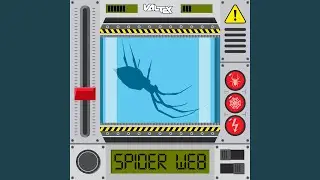 SPIDER WEB