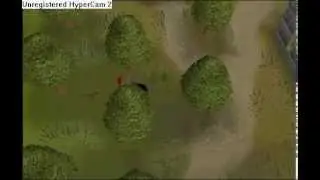 I Dds I Ownz - Quick Money-Making Guide