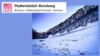 Br&uuml;lisau