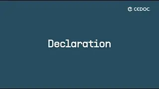 User Guide – 5. Declaration