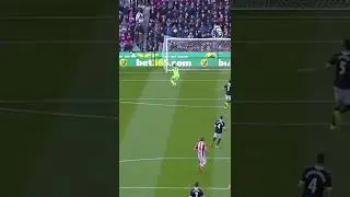 Goal: Begovic. Assist: The wind - Premier League ⚽⚽