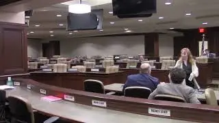 Senator Alan Clark questions Wisconsin Supreme Court Justice Mike Gableman on Canvassing laws