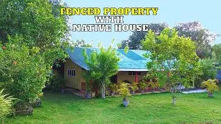 Tropical Living in Camotes Island &ndash; Fenced Property with Native House for Sale