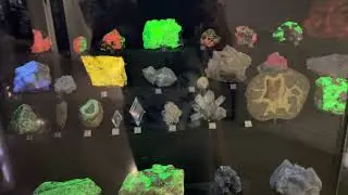 Rom Museum | Teck Suite of Galleries: Earth&rsquo;s Treasure (Part 3)