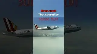 Plane Crash That Caused By Suicide Pilot #aviation #edit