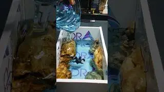 DIY Epoxy Resin Lamp Art! #diy  #shorts  #resinart