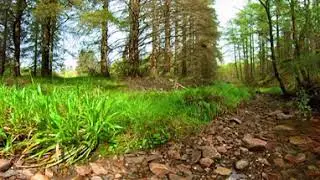 360 view of the bridge to Inchree waterfall