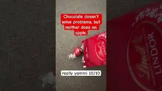 The Romance of Chocolate: A Sweet Exploration