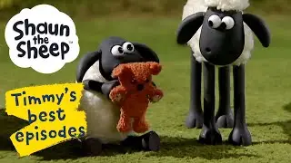 Timmy in a Tizzy 😭 Timmy's Best Episodes from Shaun the Sheep