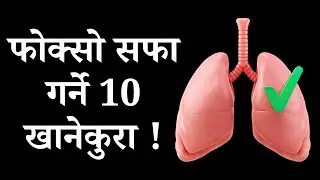 स्वस्थ फोक्सोका लागि 10 उत्तम खानेकुरा | Lung Cleansing Foods | कफ, छाती दुखाइ छुटाउने उपाय