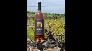 Summer 2025 Wine Club Release