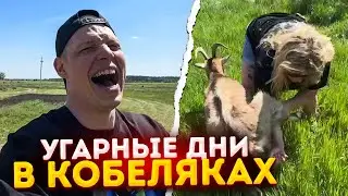 ЖЕКА КАБИНА УГАРАЕТ С ЯСЕЙ В КОБЕЛЯКАХ | СЛОМАЛ МАШИНУ