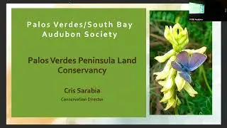 2025 01 21 Cris Sarabia, Conservation Director with the Palos Verdes Peninsula Land Conservancy