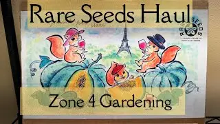Huge Baker Creek Seed Haul January 2025 Part 1 - Minnesota Zone 4 Gardening - Peas Beans #rareseeds