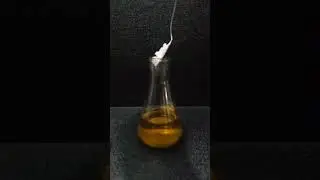Hydrochloric acid + Sodium hydroxide (castic soda)&rarr; Sodium chloride + Water #subscribe#reaction